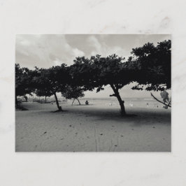 ツリーズオンサヌールビーチインバリ ポストカード