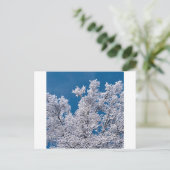 ツリーズスノー枝ミネソタ ポストカード (スタンド正面)