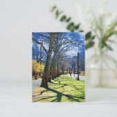 ツリーズセントラルパークNY ポストカード (スタンド正面)