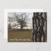 ツリーズニューヨークNYCサンライズセントラルパークスカイライン ポストカード (正面/裏面)