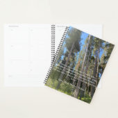 ツリーズフォレストウッズソラウ手帳 プランナー手帳 (ディスプレー)