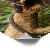 ツリータンバスプリントで2匹のサル ポスター (角)