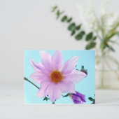 ツリーダリア ポストカード (スタンド正面)