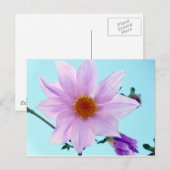 ツリーダリア ポストカード (正面/裏面)