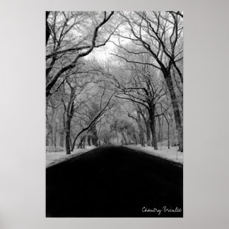 ツリーチュネル ポスター