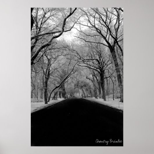 ツリーチュネル ポスター (正面)