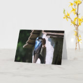 ツリーツバメ カード (黄色い花)