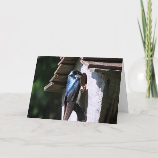 ツリーツバメ カード (正面)