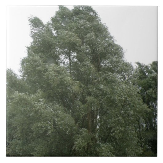 ツリートップスタイル タイル (正面)