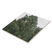 ツリートップスタイル タイル (側面)