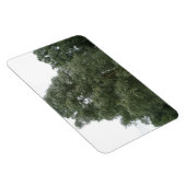 ツリートップスプレミアム磁石 マグネット (右側)