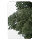 ツリートップスプレミアム磁石 マグネット (縦)