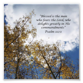 ツリートップス11:23聖なる書物、 経典写真プリント フォトプリント           