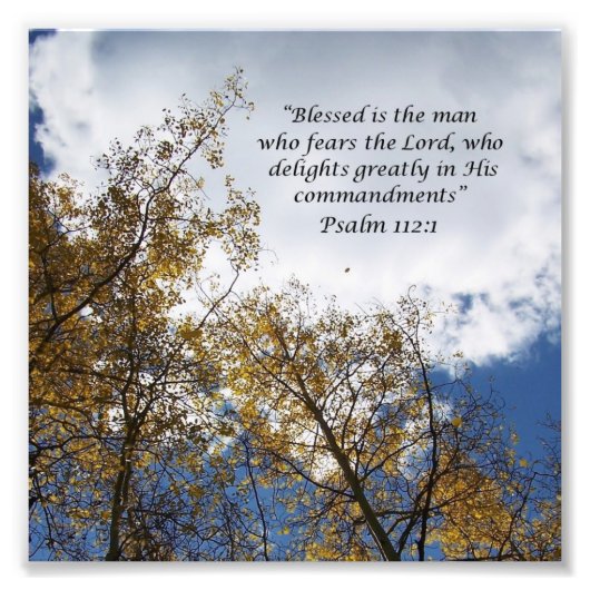 ツリートップス11:23聖なる書物、 経典写真プリント フォトプリント            (正面)