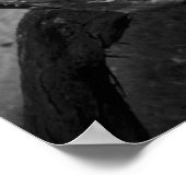 ツリートランクスパイラルB&W写真 – ポスター (角)