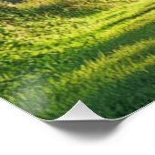 ツリートンネルカウアイ写真ウォールアート ポスター (コーナー)