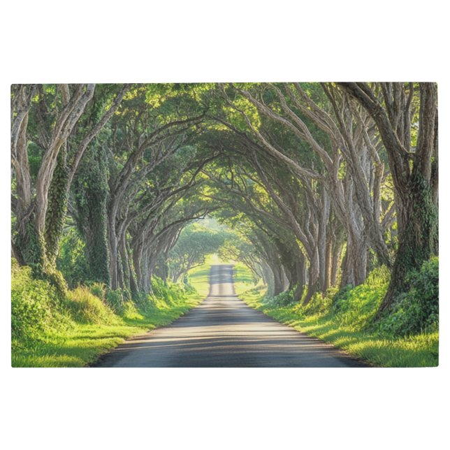 ツリートンネルカウアイ写真ウォールアート メタルプリント (正面)