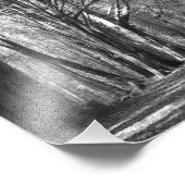 ツリートンネル フォトプリント            (角)