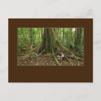 ツリーハウスモンタージュポストカード ポストカード