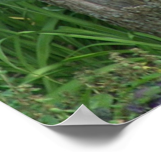 ツリーハウス – プリント (角)