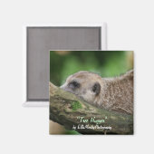 ツリーハガー マグネット (正面/裏面)