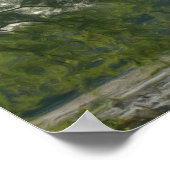 ツリーバイマーシュフォトオイルペインティング ポスター (角)