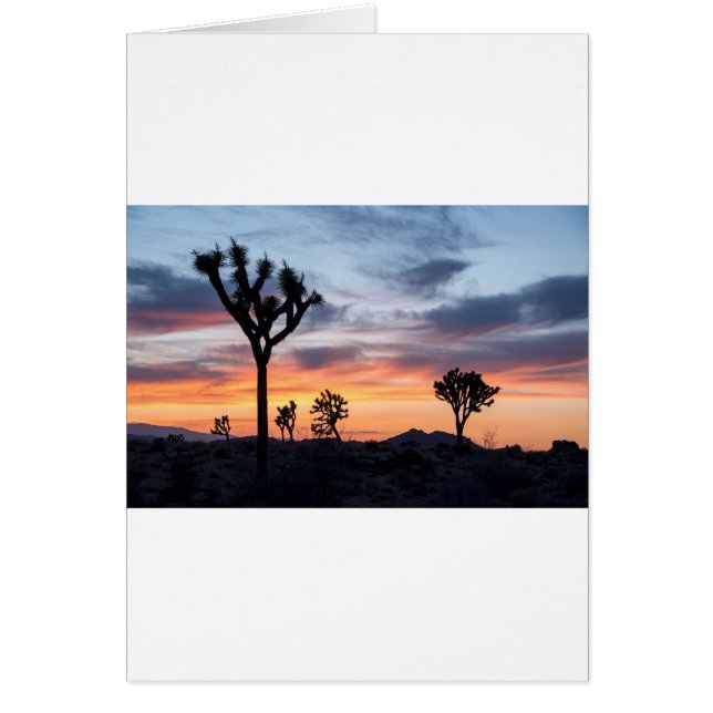 ツリーパークパーティーパーソナライズデスティニーズ (正面)