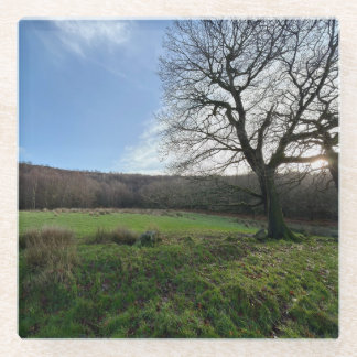 ツリービュー.. ガラスコースター