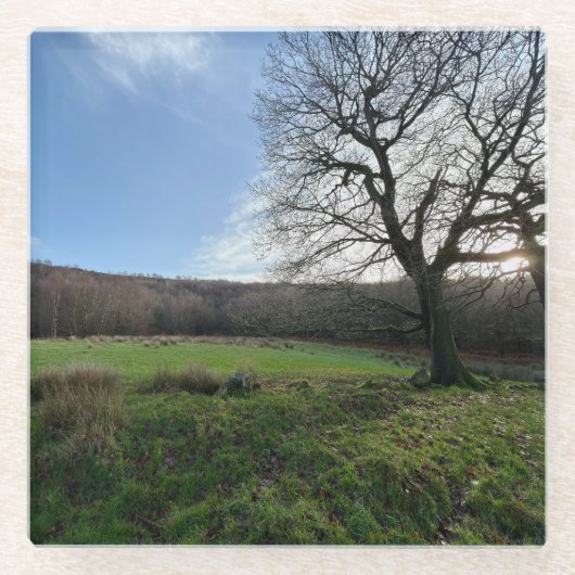 ツリービュー.. ガラスコースター (正面)