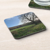 ツリービュー.. コースター (左側)