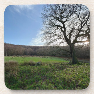 ツリービュー.. コースター