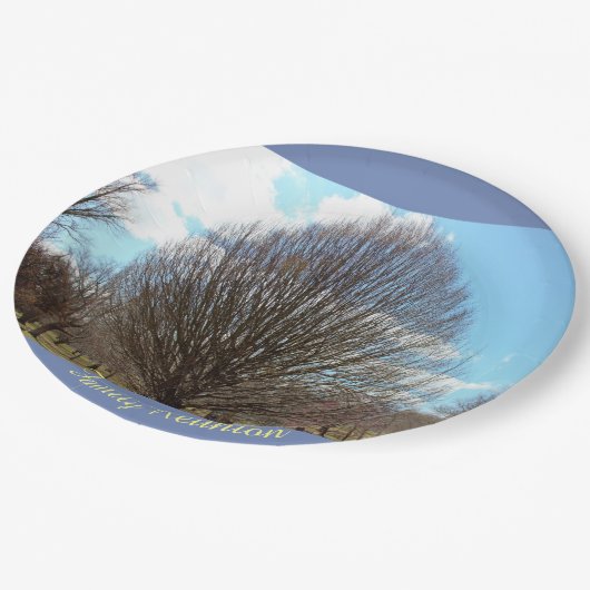 ツリーファミリ懇親会 ペーパープレート (アングル)