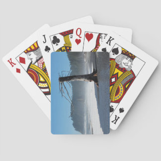 ツリーファンキートランプ トランプ