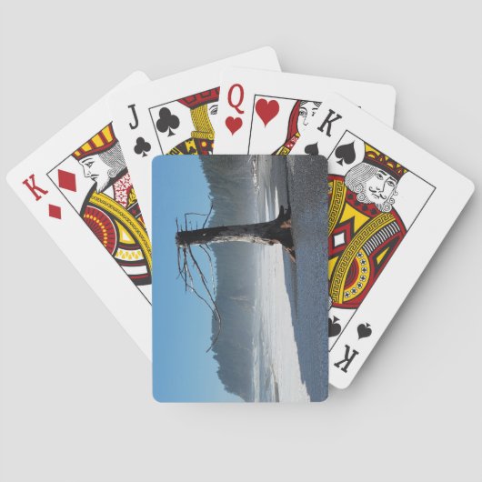 ツリーファンキートランプ トランプ (裏面)