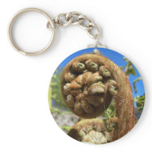 ツリーファーンフォンド