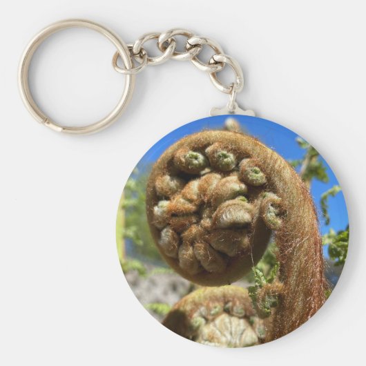 ツリーファーンフォンド キーホルダー (正面)