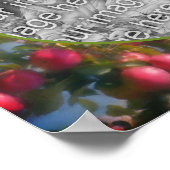 ツリーフレーム上の赤りんご写真を追加 ポスター (角)