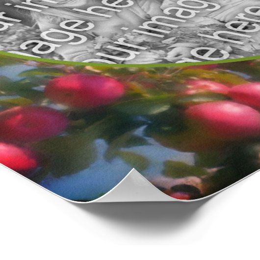 ツリーフレーム上の赤りんご写真を追加 ポスター (角)