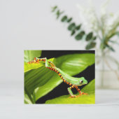 ツリーフロッグジャンプ ポストカード (スタンド正面)