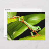 ツリーフロッグジャンプ ポストカード (正面/裏面)