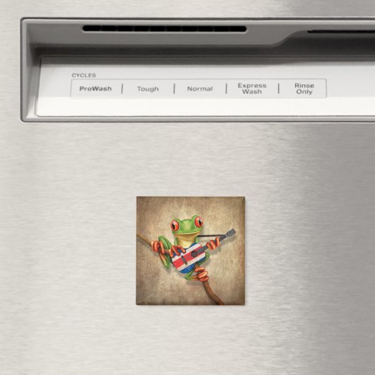 ツリーフロッグ遊ズコスタリカ国旗のギター マグネット (インサイチュ (食洗機))