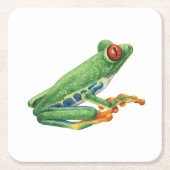 ツリーフロッグ スクエアペーパーコースター (正面)