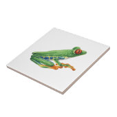 ツリーフロッグ タイル (側面)