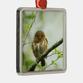 ツリーブランチでとまっている襟首をつかまれたpigmyのowlet メタルオーナメント (右)