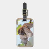 ツリーブランチで休む怠惰 ラゲッジタグ (正面縦)