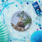 ツリーブランチの白頭鷲 ペーパープレート (パーティー)