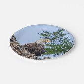 ツリーブランチの白頭鷲 ペーパープレート (アングル)
