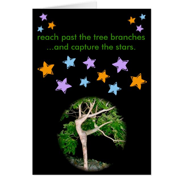 ツリーブランチを過ぎた範囲… (正面)