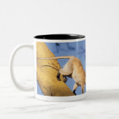 ツリーブランチ、Serengetiのベルベットモンキー ツートーンマグカップ (左)