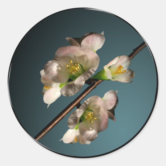 ツリーブロッサム封筒用シール ラウンドシール (正面)